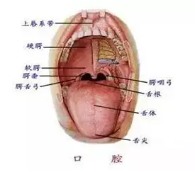 QQ截图20170117133922.png