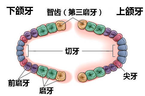 QQ截图20170727164155.png